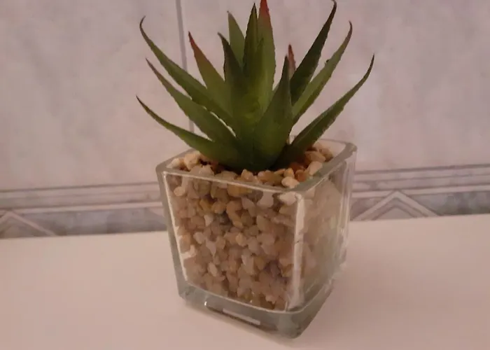 Siesta Διαμέρισμα Σπλιτ