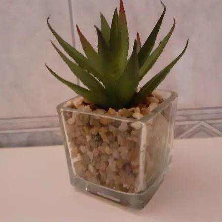 Siesta Appartamento Spalato